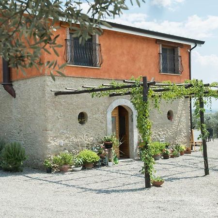 كامبانيا B&B Rifugio Tra Gli Ulivi المظهر الخارجي الصورة