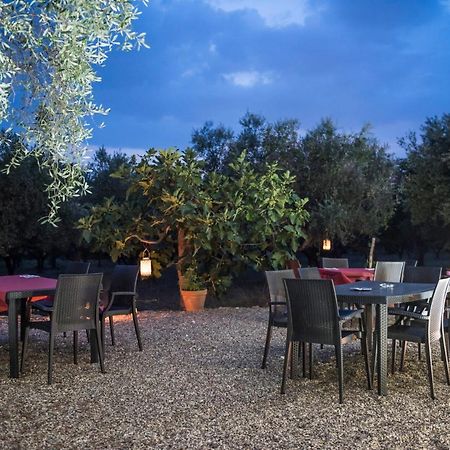 كامبانيا B&B Rifugio Tra Gli Ulivi المظهر الخارجي الصورة