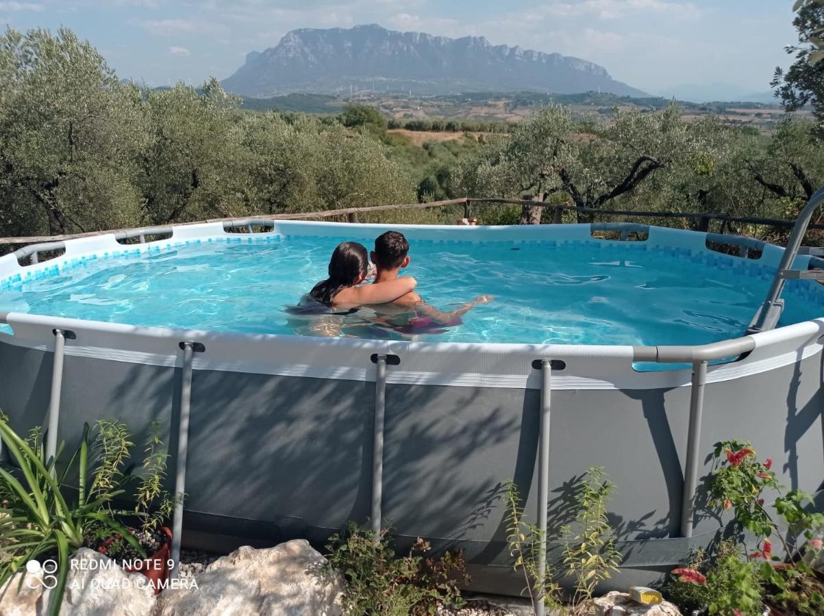 كامبانيا B&B Rifugio Tra Gli Ulivi المظهر الخارجي الصورة