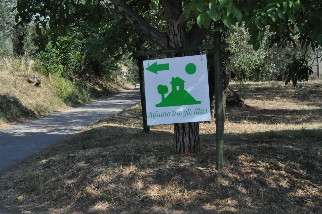 كامبانيا B&B Rifugio Tra Gli Ulivi المظهر الخارجي الصورة