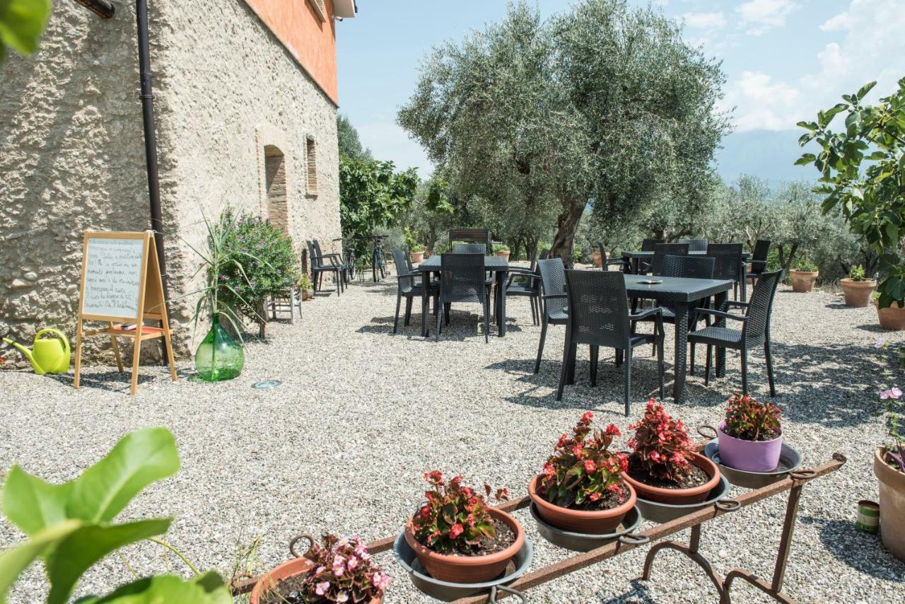 كامبانيا B&B Rifugio Tra Gli Ulivi المظهر الخارجي الصورة