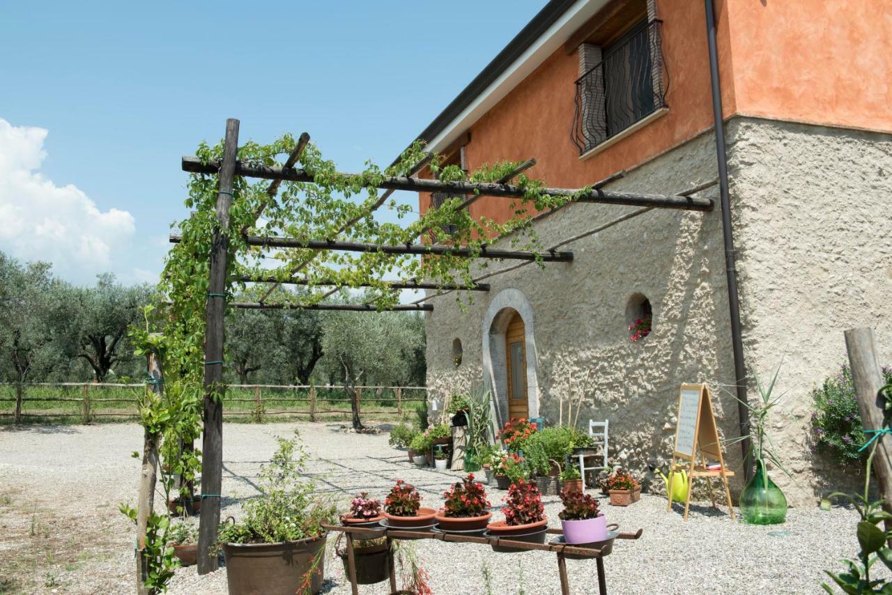 كامبانيا B&B Rifugio Tra Gli Ulivi المظهر الخارجي الصورة