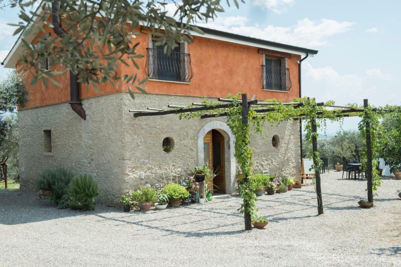 كامبانيا B&B Rifugio Tra Gli Ulivi المظهر الخارجي الصورة