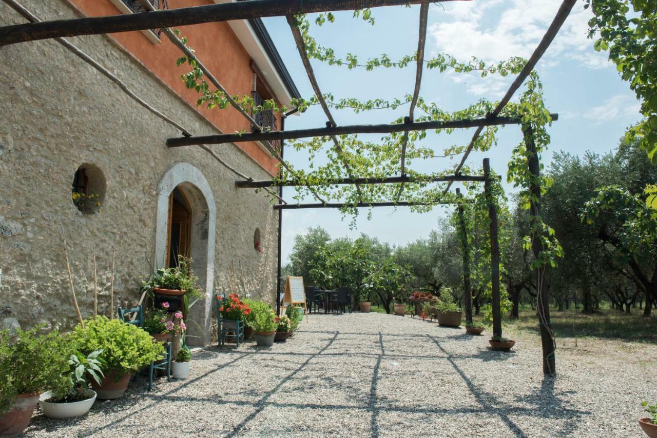 كامبانيا B&B Rifugio Tra Gli Ulivi المظهر الخارجي الصورة