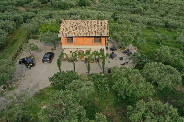 كامبانيا B&B Rifugio Tra Gli Ulivi المظهر الخارجي الصورة